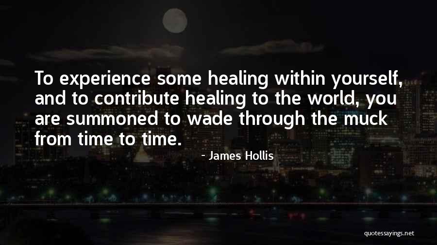 James Hollis Quotes 1796132