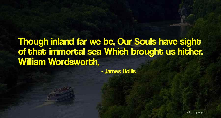 James Hollis Quotes 1858339