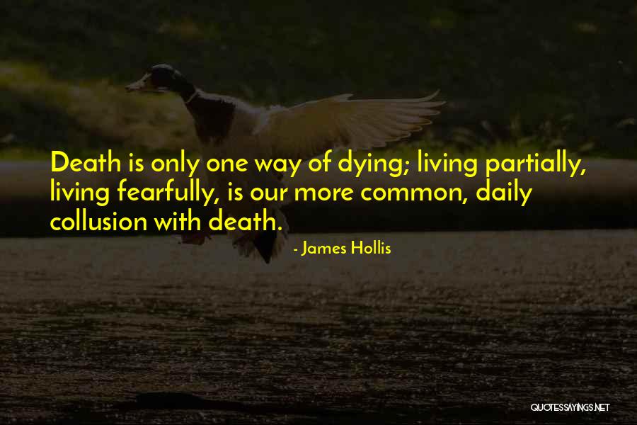 James Hollis Quotes 1903967