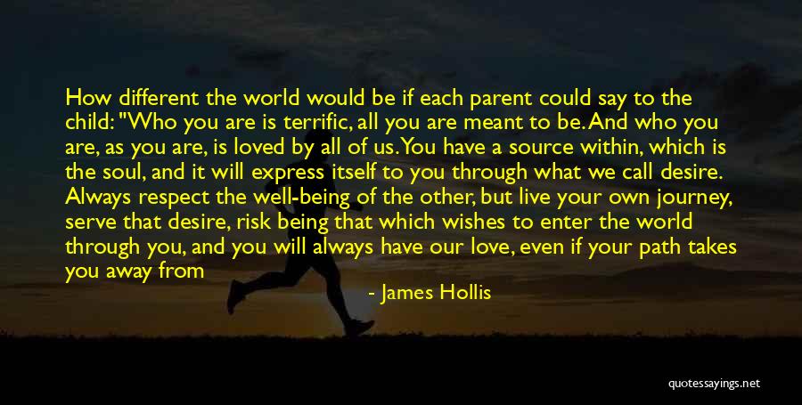 James Hollis Quotes 2103815