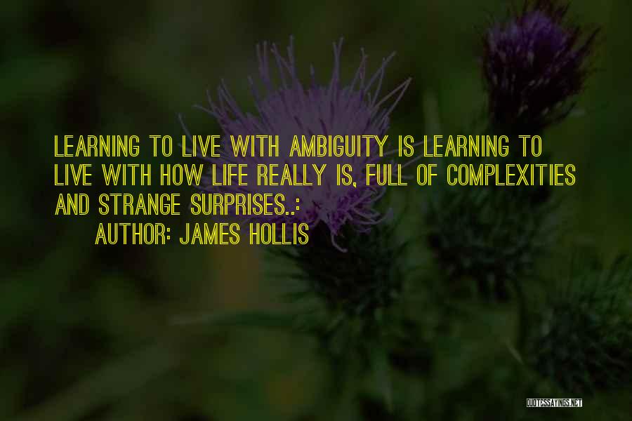 James Hollis Quotes 2130077