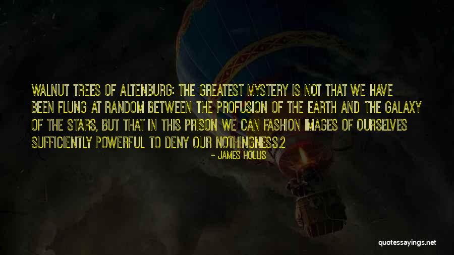 James Hollis Quotes 2216385