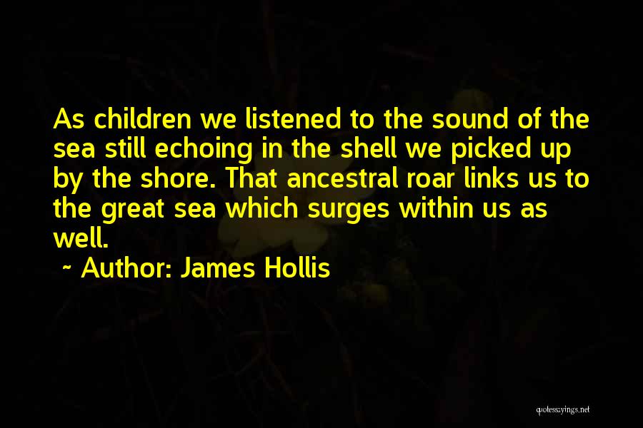 James Hollis Quotes 537355