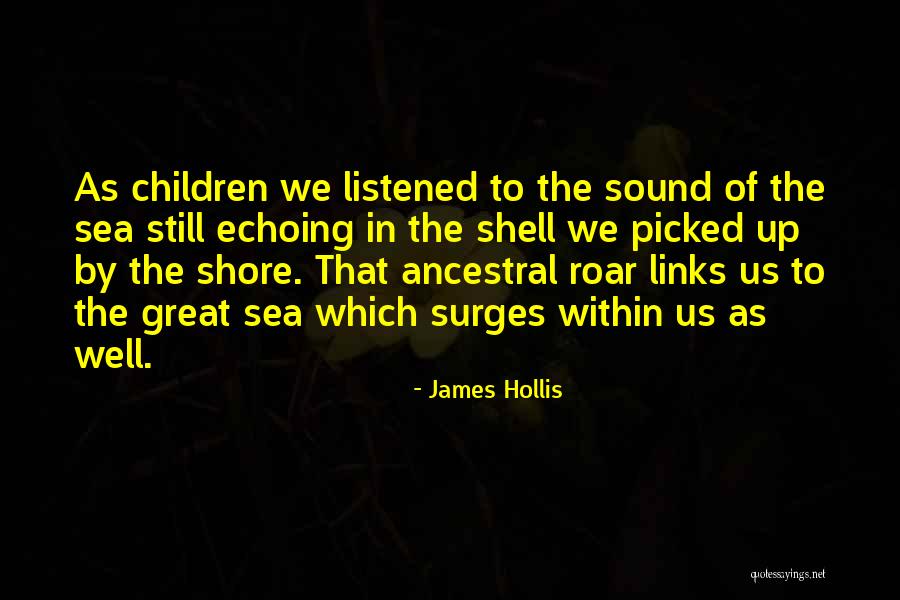 James Hollis Quotes 537355