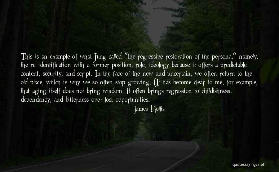 James Hollis Quotes 641908