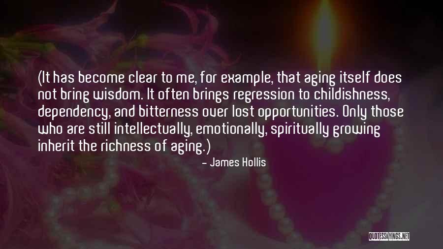 James Hollis Quotes 962484