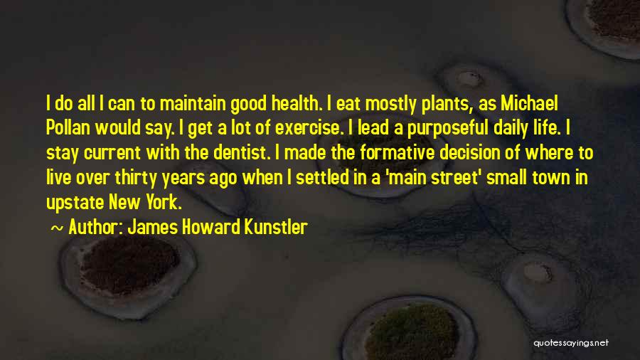 James Howard Kunstler Quotes 683676