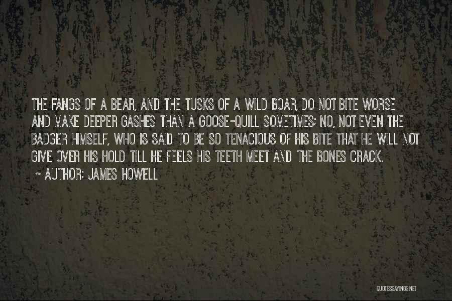 James Howell Quotes 1092421