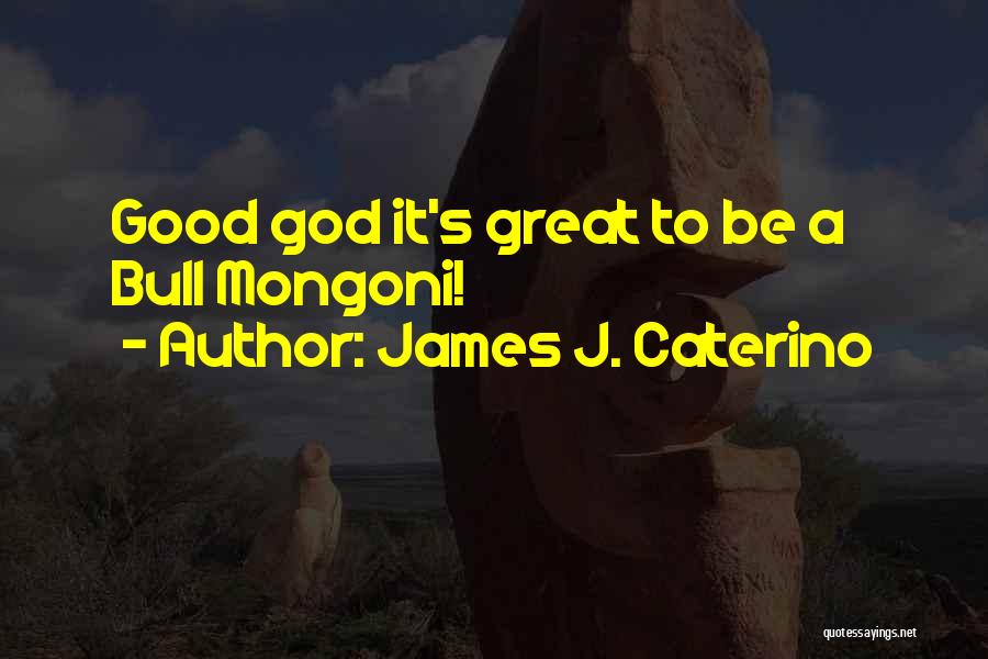 James J. Caterino Quotes 439253