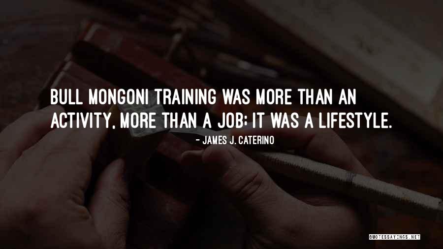 James J. Caterino Quotes 868568 James J. Caterino Quotes 868568