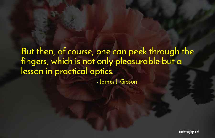 James J. Gibson Quotes 1041113