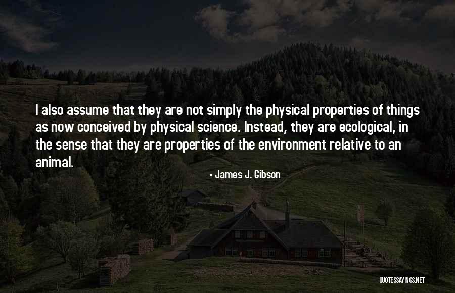 James J. Gibson Quotes 1147418