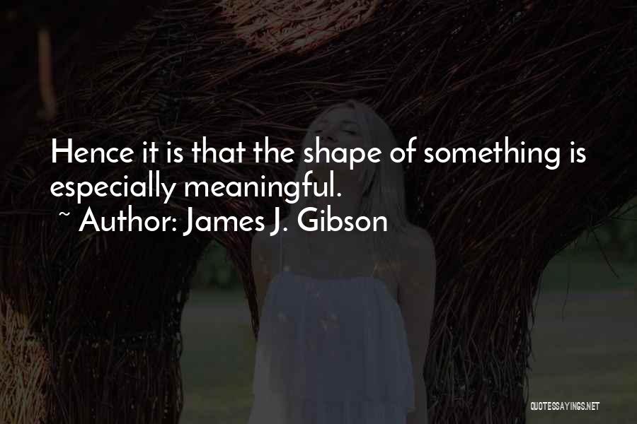James J. Gibson Quotes 1914888