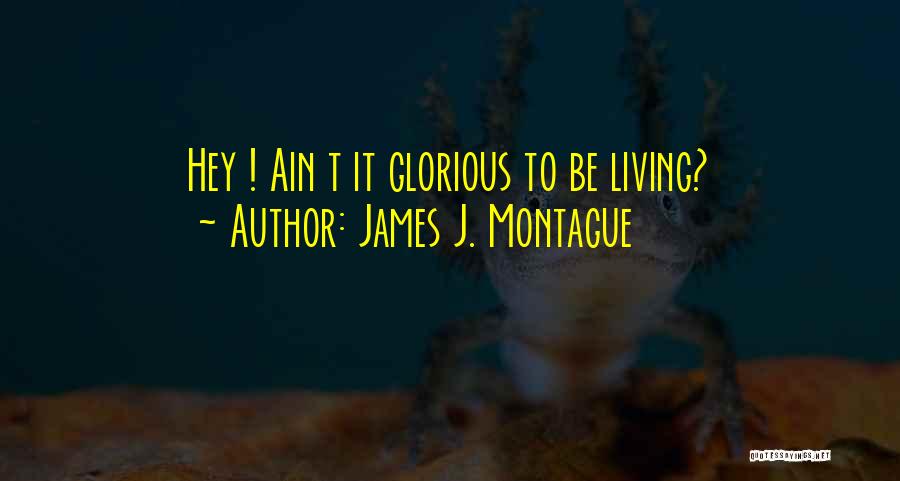 James J. Montague Quotes 2138798