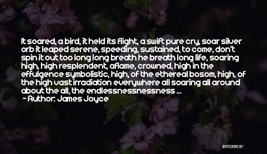 James Joyce Life Quotes By James Joyce