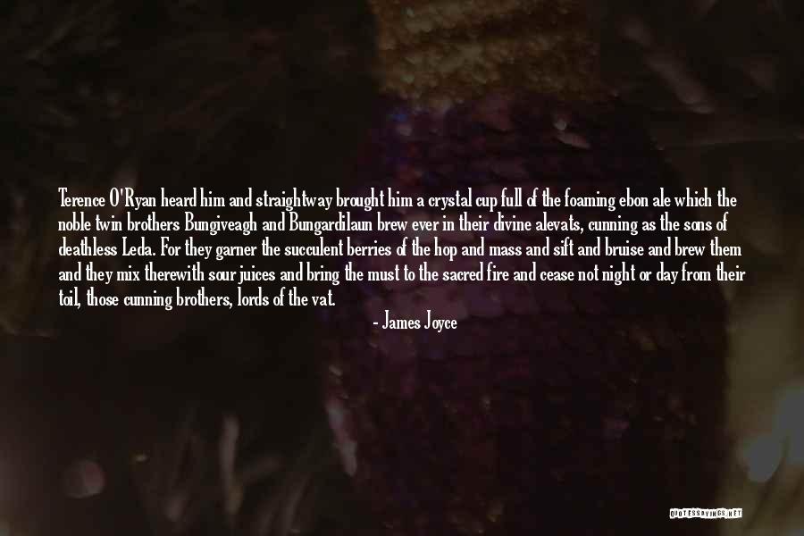 James Joyce Quotes 1006954 James Joyce Quotes 1006954