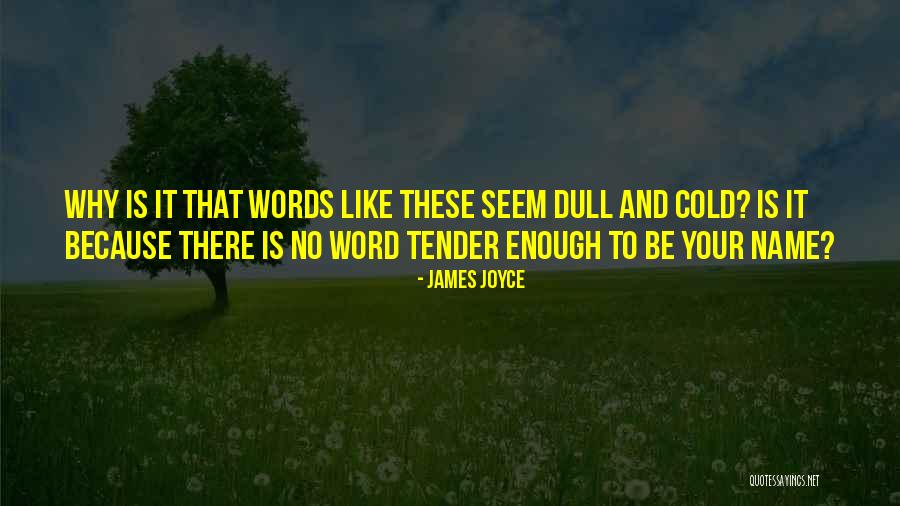 James Joyce Quotes 1720175 James Joyce Quotes 1720175