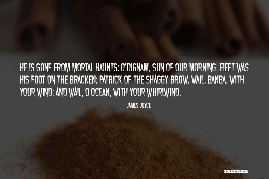 James Joyce Quotes 1858202 James Joyce Quotes 1858202