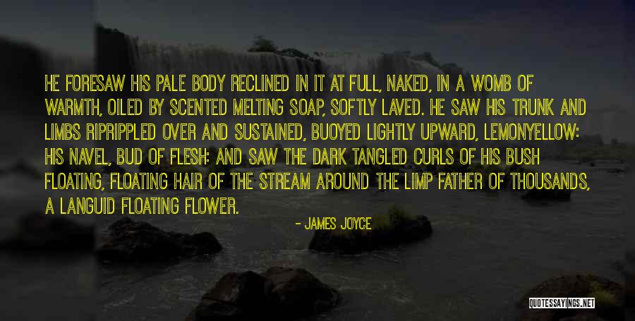 James Joyce Quotes 1981739 James Joyce Quotes 1981739