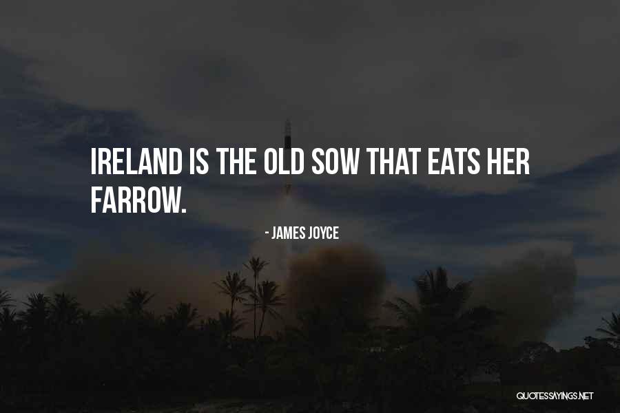 James Joyce Quotes 2063336 James Joyce Quotes 2063336