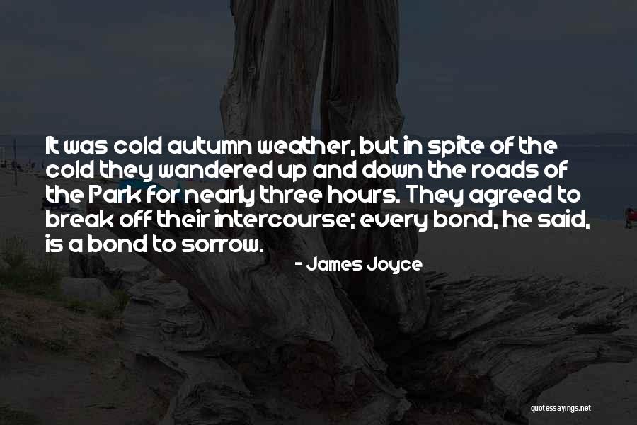 James Joyce Quotes 276998 James Joyce Quotes 276998