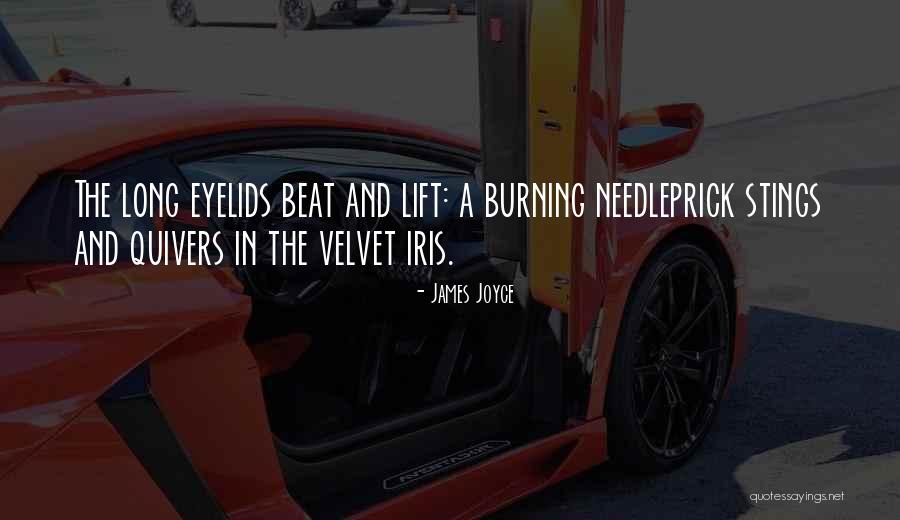 James Joyce Quotes 544656 James Joyce Quotes 544656
