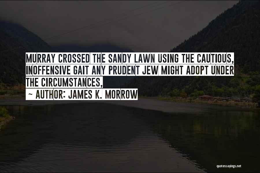 James K. Morrow Quotes 445498