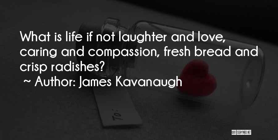 James Kavanaugh Quotes 1477822