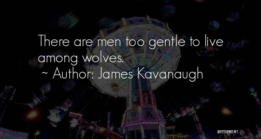 James Kavanaugh Quotes 1978470