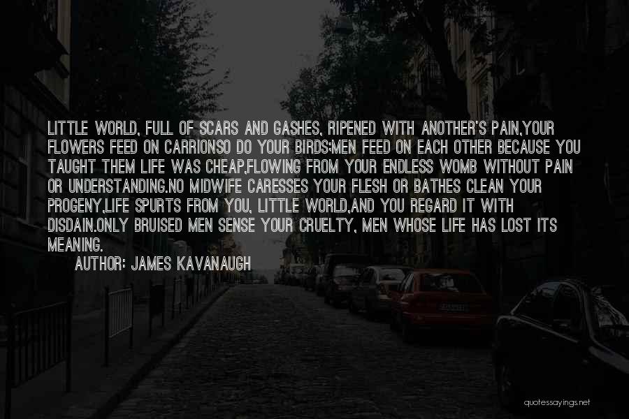 James Kavanaugh Quotes 983046
