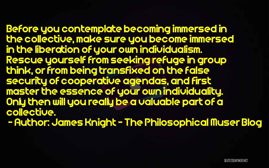 James Knight - The Philosophical Muser Blog Quotes 1479932