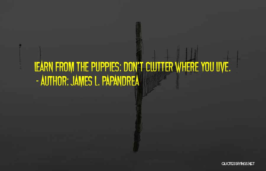 James L. Papandrea Quotes 1490699