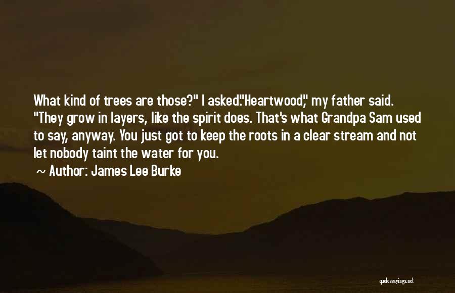 James Lee Burke Quotes 760004