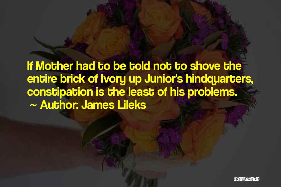 James Lileks Quotes 1180233