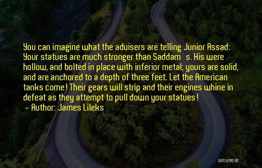 James Lileks Quotes 1965849