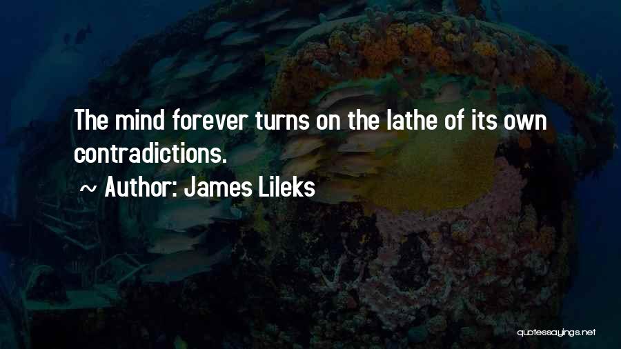 James Lileks Quotes 815842