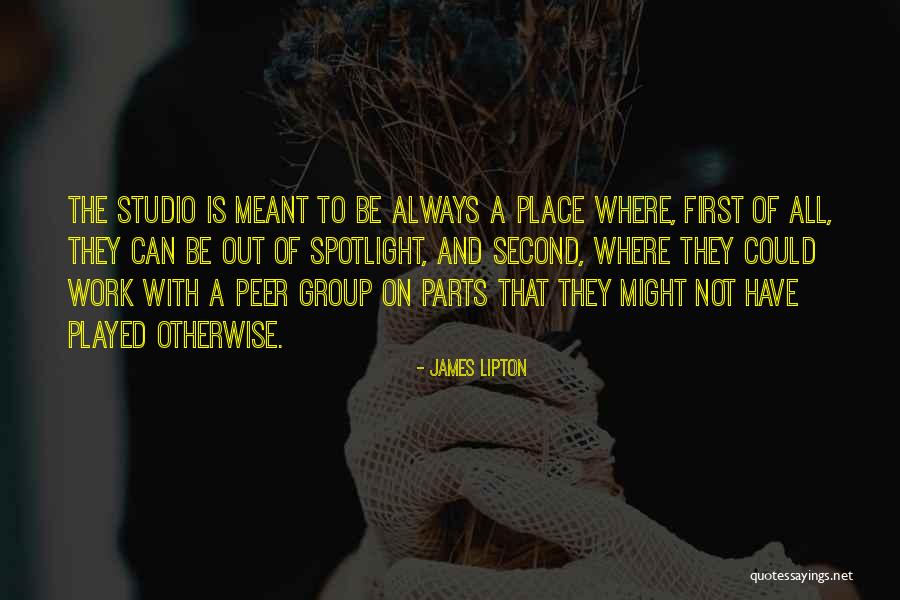 James Lipton Quotes 1417965 James Lipton Quotes 1417965