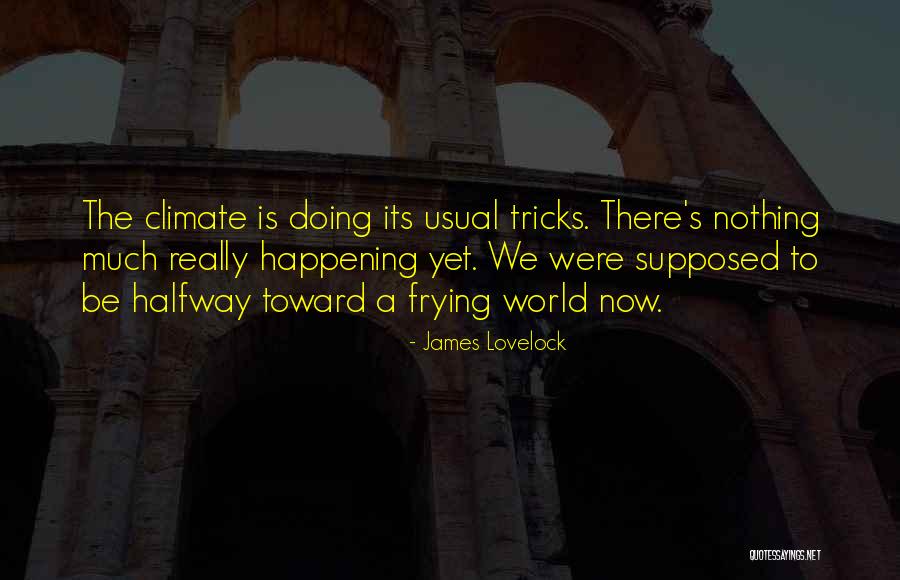 James Lovelock Quotes 2246925