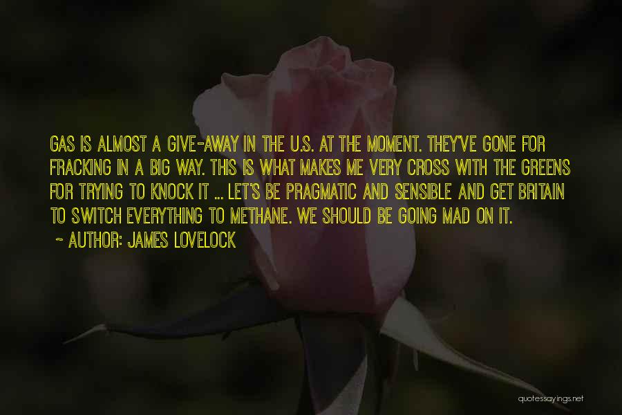 James Lovelock Quotes 403233