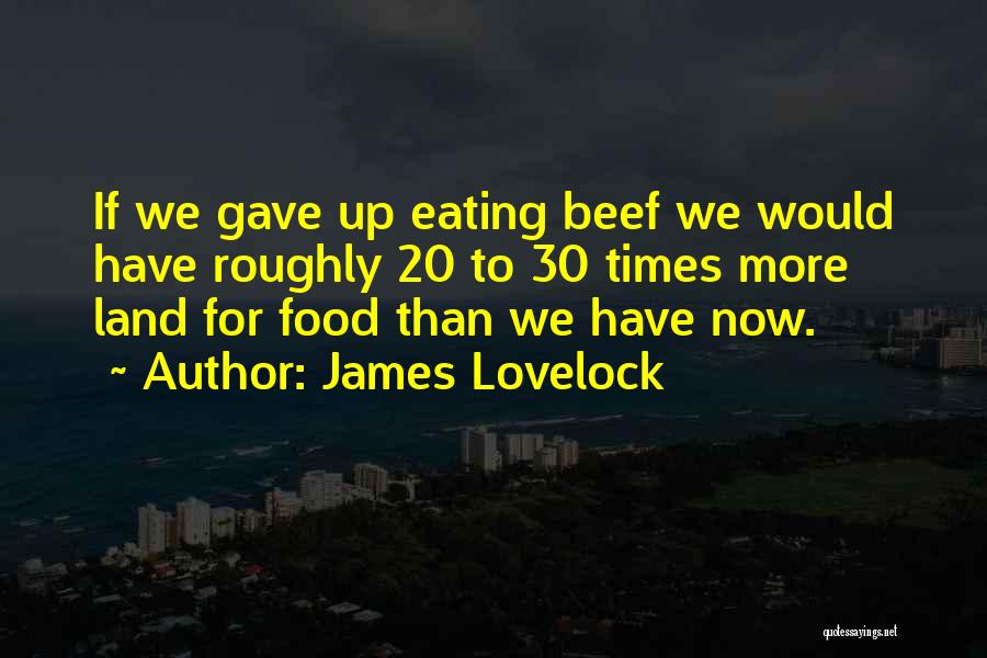 James Lovelock Quotes 588321