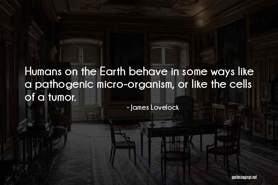 James Lovelock Quotes 764930