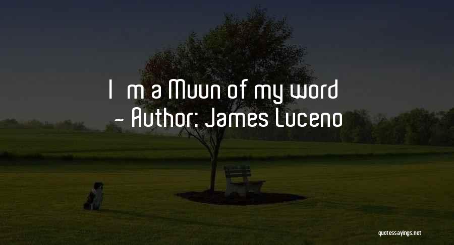 James Luceno Quotes 1317182