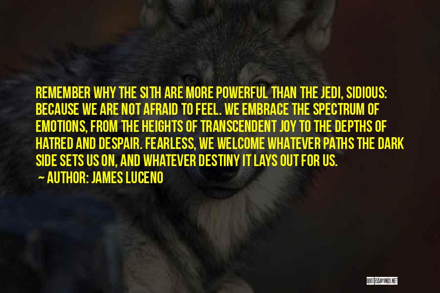 James Luceno Quotes 1767407