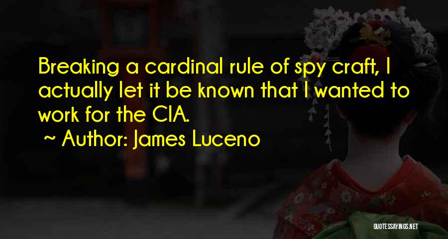 James Luceno Quotes 1914027