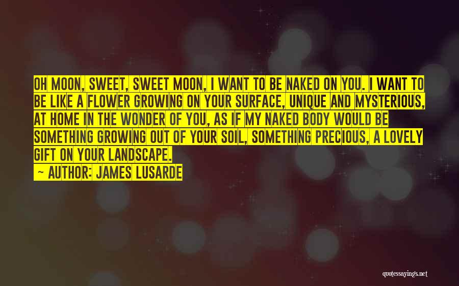 James Lusarde Quotes 376778