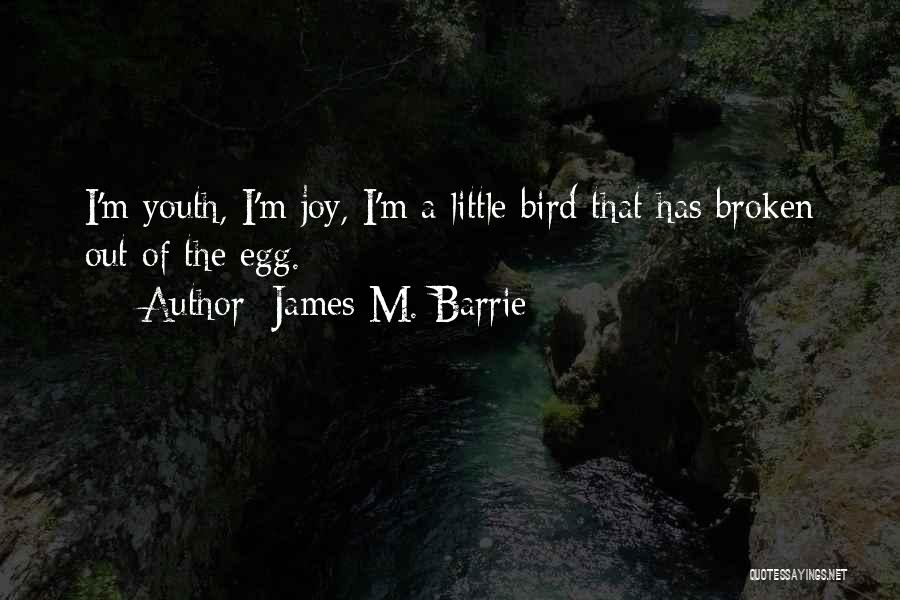 James M. Barrie Quotes 2079644