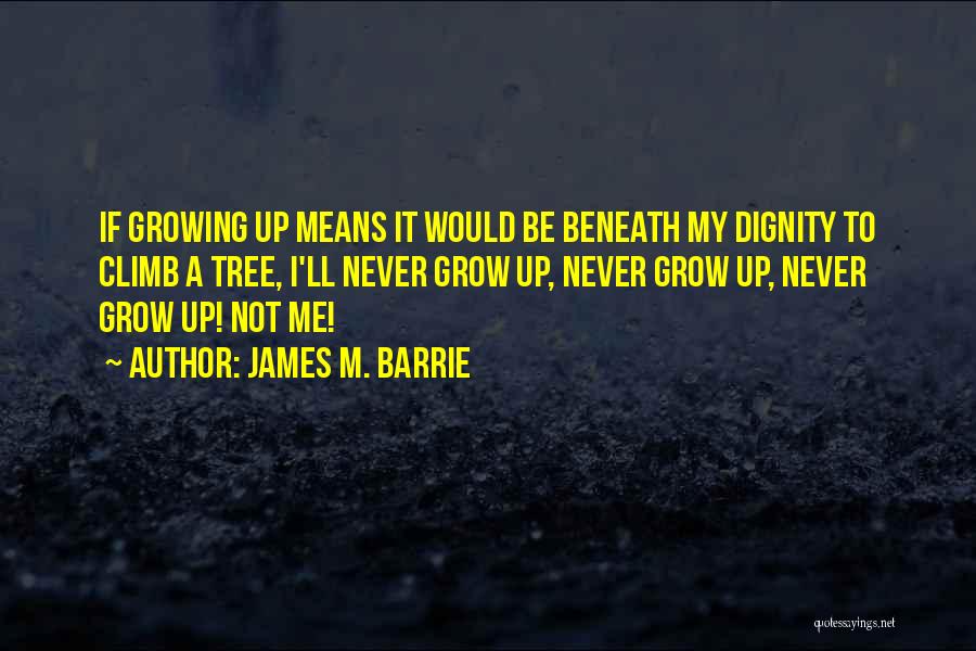 James M. Barrie Quotes 948605