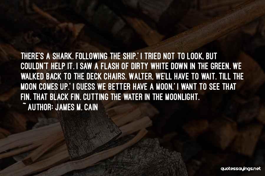 James M. Cain Quotes 801177