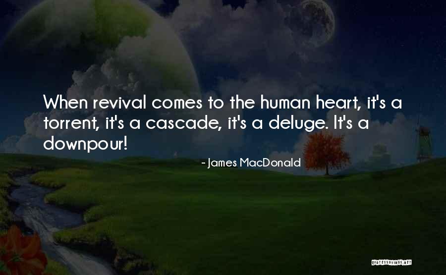 James MacDonald Quotes 1586223