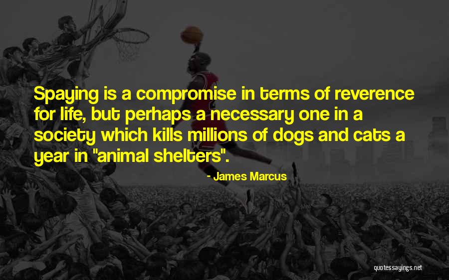 James Marcus Quotes 1410897